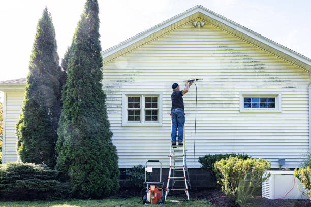 Best Deck and Patio Pressure Washing in Terry, MS