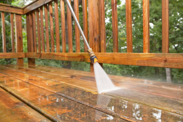Best Window and Screen Pressure Cleaning in Terry, MS